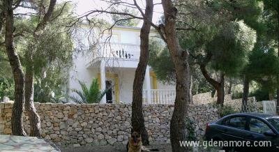 apartmani damir, privatni smeštaj u mestu Vis, Hrvatska